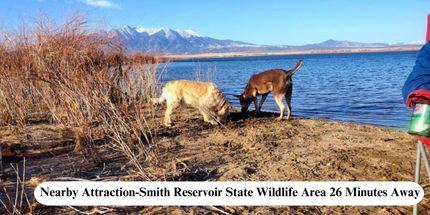 Timberland Property for sale in Costilla County, Colorado