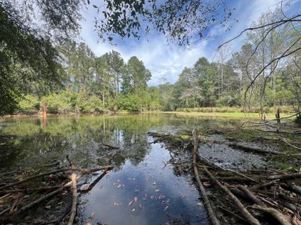 Timberland Property for sale in Coffee County, Alabama
