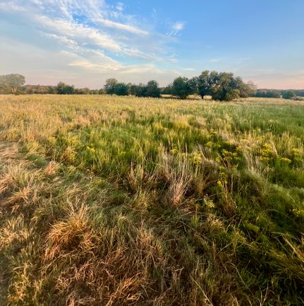 Undeveloped Land for sale in Carter County, Oklahoma