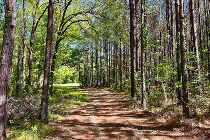 Hunting Property for sale in East Feliciana Parish, Louisiana