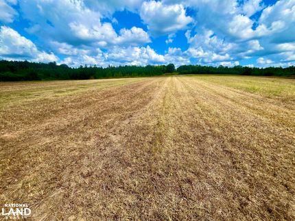 Land for sale in Bullock County, Alabama