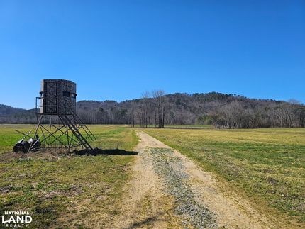 Land for sale in Blount County, Alabama