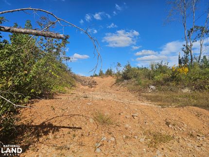 Recreational Property for sale in Lamar County, Alabama