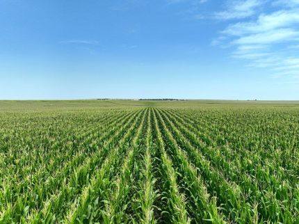 Farm and Ranch for sale in Kit Carson County, Colorado