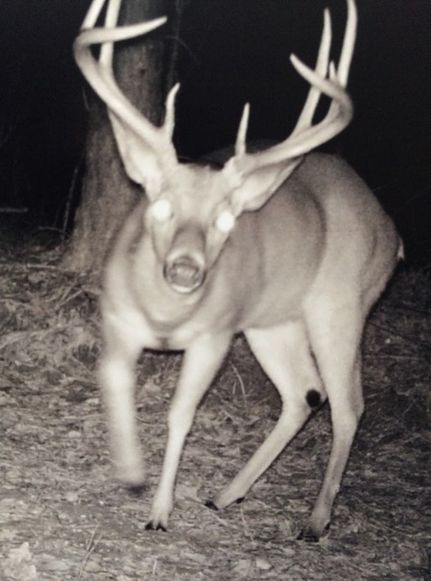 Commercial Property in Fayette County, Alabama