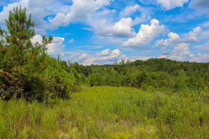 Farm and Ranch for sale in Fayette County, Alabama