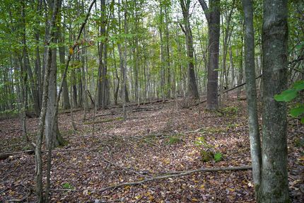 Hunting Property for sale in Somerset County, Pennsylvania