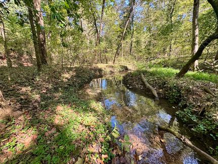 Undeveloped Land for sale in Washington County, Arkansas