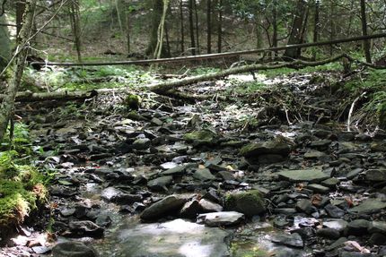 Undeveloped Land for sale in Upshur County, West Virginia