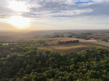 Timberland Property for sale in Houston County, Minnesota