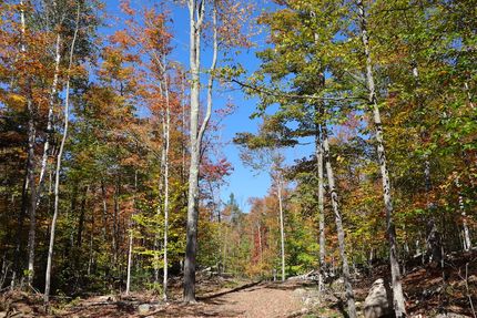 Hunting Property for sale in Warren County, New York