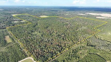 Timberland Property for sale in Houston County, Alabama