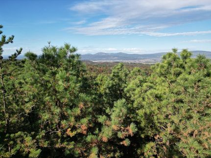 Timberland Property for sale in Hardy County, West Virginia