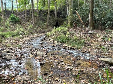 Land for sale in McDowell County, North Carolina