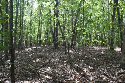 Undeveloped Land for sale in Campbell County, Virginia