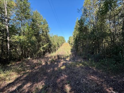 Undeveloped Land for sale in Cullman County, Alabama