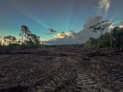 Undeveloped Land for sale in Rankin County, Mississippi