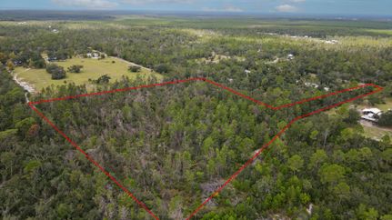 Land for sale in Taylor County, Florida