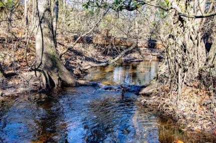 Farm and Ranch for sale in Holmes County, Florida