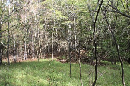 Land for sale in DeSoto County, Mississippi