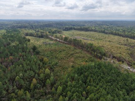 Undeveloped Land for sale in Walker County, Alabama