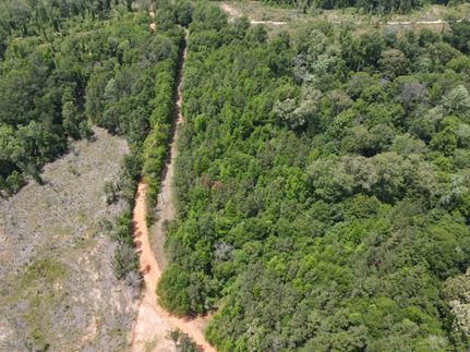 Timberland Property for sale in Monroe County, Alabama
