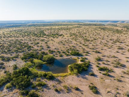 Land for sale in Terrell County, Texas