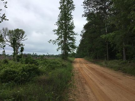 Undeveloped Land for sale in Nevada County, Arkansas