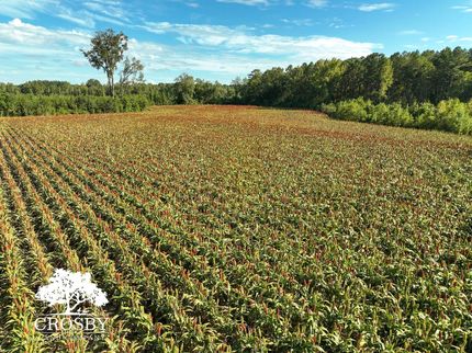 Hunting Property for sale in Bamberg County, South Carolina