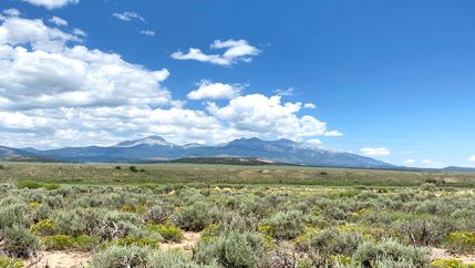Undeveloped Land for sale in Costilla County, Colorado