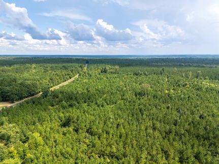 Farm and Ranch for sale in Ouachita County, Arkansas