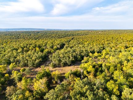 Timberland Property for sale in Pittsburg County, Oklahoma