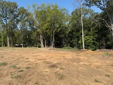 Land for sale in Henry County, Tennessee