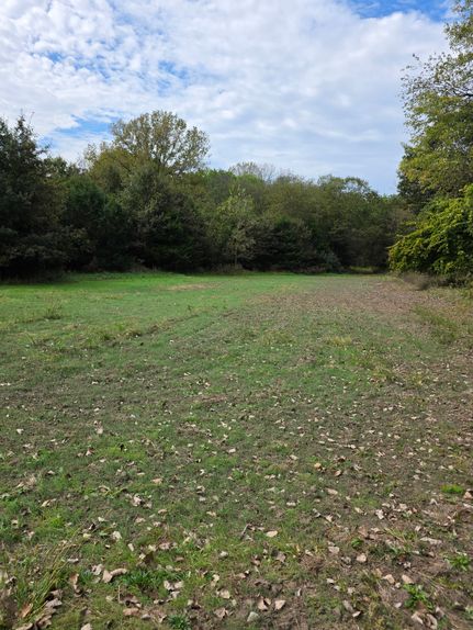 Undeveloped Land for sale in Davis County, Iowa