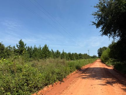 Farm and Ranch for sale in Webster County, Georgia