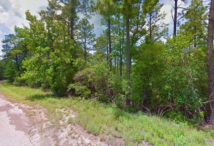 Undeveloped Land in Jasper County, Texas