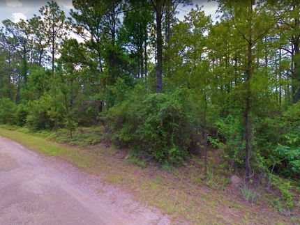 Undeveloped Land in Jasper County, Texas