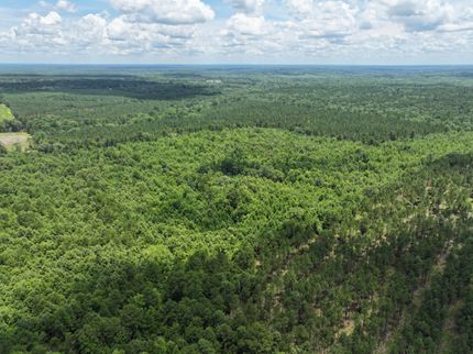 Timberland Property for sale in Harrison County, Texas