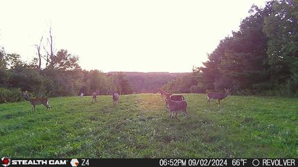 Hunting Property for sale in Schuyler County, New York