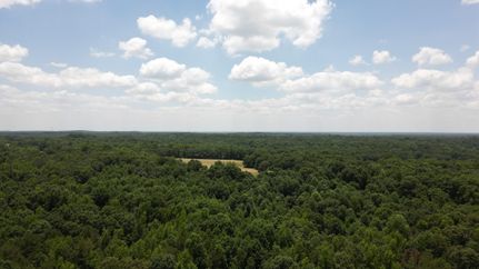 Undeveloped Land in Jackson County, Georgia