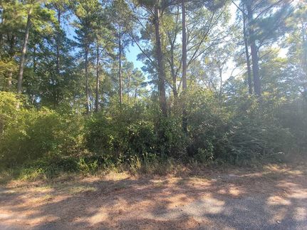 Recreational Property for sale in Walker County, Texas