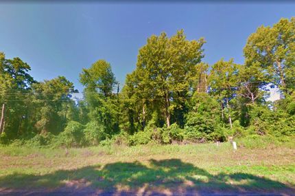 Undeveloped Land in Marion County, Texas