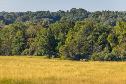 Farm and Ranch for sale in Shelby County, Texas
