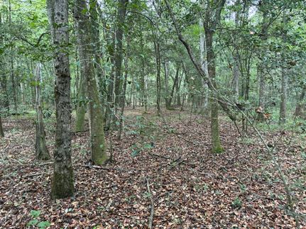 Recreational Property for sale in Crenshaw County, Alabama