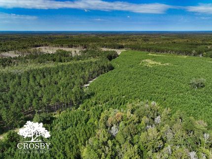 Farm and Ranch for sale in Allendale County, South Carolina