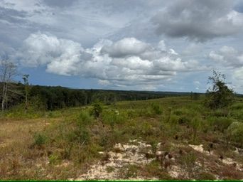 Farm and Ranch for sale in Dale County, Alabama