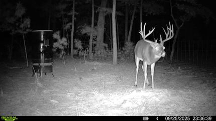 Farm and Ranch for sale in Pittsburg County, Oklahoma