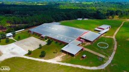 Undeveloped Land in Henry County, Alabama