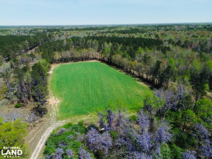Undeveloped Land in Cumberland County, North Carolina