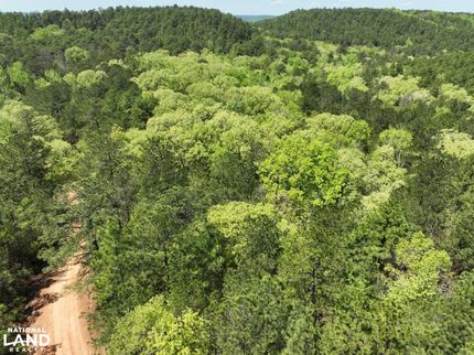 Timberland Property in Perry County, Alabama